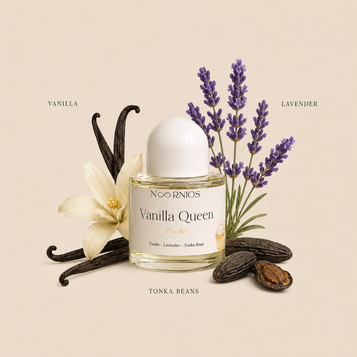 Vanilla Queen